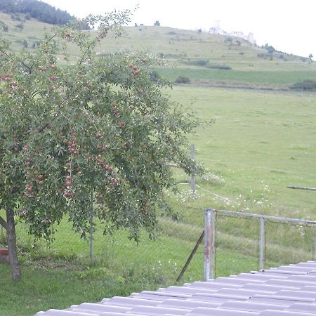 Penzion Dreveník Spisské Podhradie Exterior foto