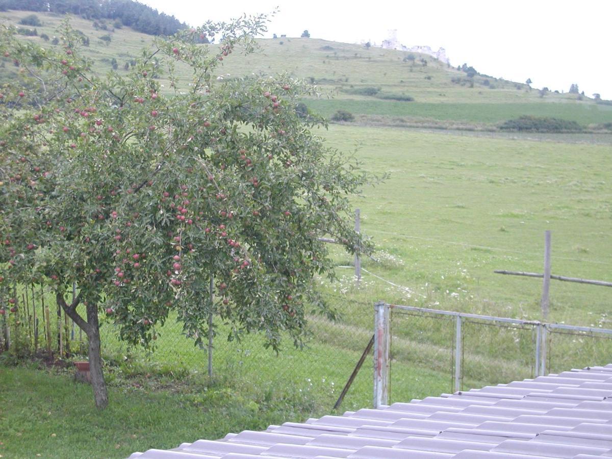 Penzion Dreveník Spisské Podhradie Exterior foto
