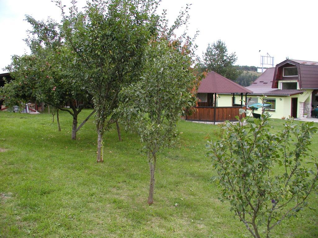 Penzion Dreveník Spisské Podhradie Exterior foto